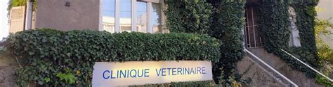 vtrinaire metz pas cher|Clinique Vétérinaire Messine à Metz 